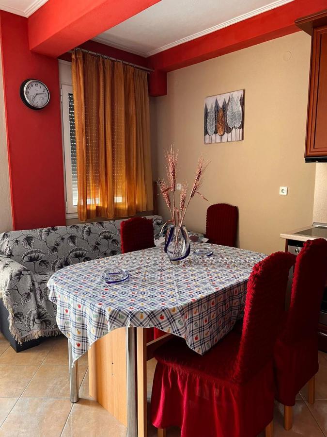 Teo'S House 3 Διαμέρισμα Καλαμπάκα Εξωτερικό φωτογραφία